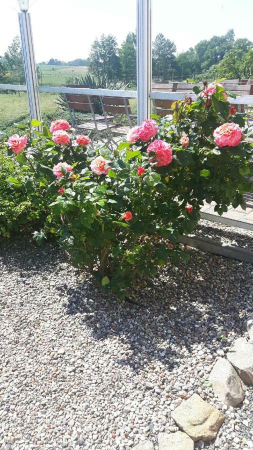 Heu-Ferienhof Altkamp Putbus Esterno foto