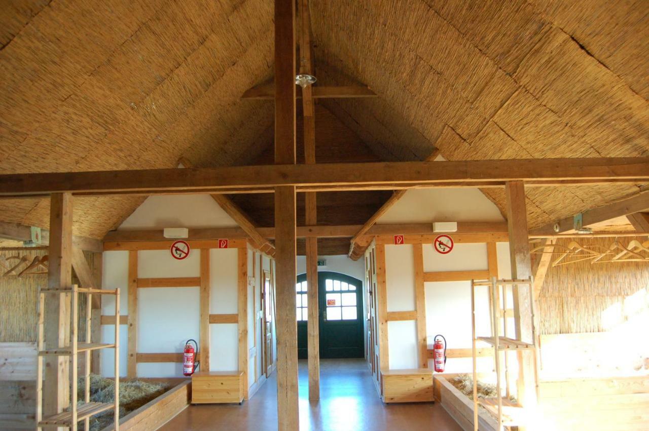 Heu-Ferienhof Altkamp Putbus Esterno foto